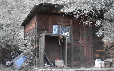 Old Shed